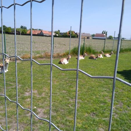 De Lekkermond Guest House Diksmuide Luaran gambar